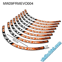 FRM Evo 29er Vinilos