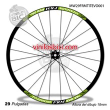FRM Evo Titanium Adhesivos