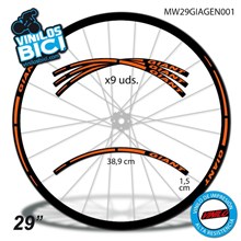 Giant 29" vinilos