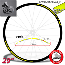 Giant 29" vinilos