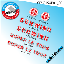 Schwinn vinilos cuadro bicicleta clasica