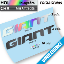 Giant vinilos cuadro