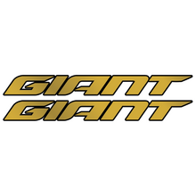 Giant XTC SLR 2 29 2021 Pegatinas en vinilo adhesivo Cuadro