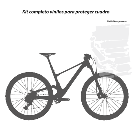 Protector Modelo Año pegatinas proteger vinilo adhesivo proteger