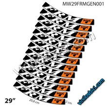 FRM 29" vinilos