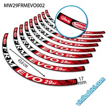 FRM Evo 29er Vinilos