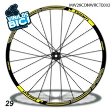 Conor 29" vinilos