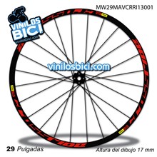 Mavic Crossride 2013 29 Adhesivos