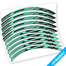BH EVO EC30 Pegatinas en vinilo adhesivo llantas