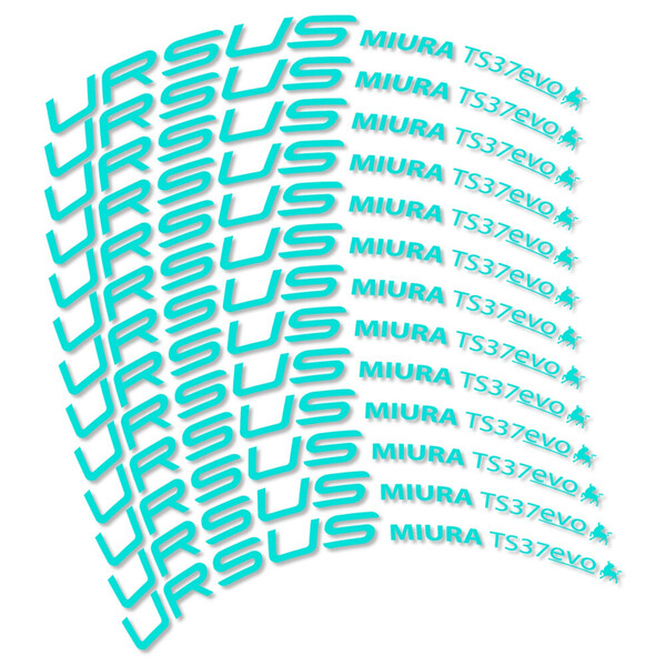 Ursus Miura Ts37 Evo Disc Pegatinas en vinilo adhesivo Llanta Carretera