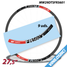 DT Swiss FR560 2016 Pegatinas en vinilo adhesivo llantas