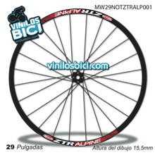 Notubes ZTR Alpine Adhesivos llantas