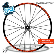 FRM Evo 29" vinilos