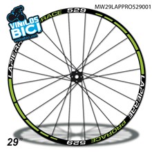 Lapierre 29" Vinilos