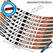 Notubes ZTR Crest 29" Vinilos