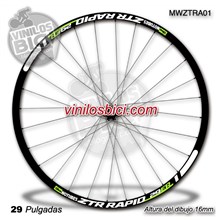 Notubes ZTR Rapid 29 Adhesivos