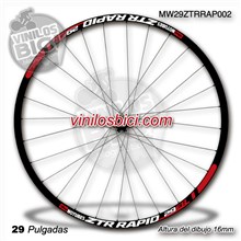 Notubes ZTR Rapid 29 Adhesivos