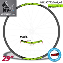 DT Swiss vinilos adhesivos llantas