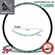 Orbea Occam Vinilos adhesivos