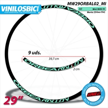 Orbea Rallon Vinilos adhesivos