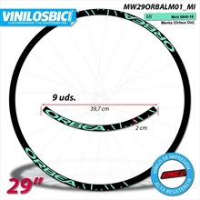 Orbea Alma pegatinas en vinilo adhesivo llantas