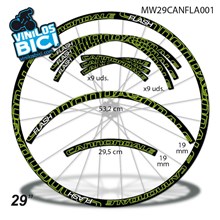 Cannondale Flash 29" vinilos