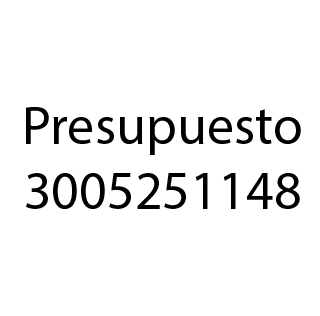 Presupuesto 0310231322