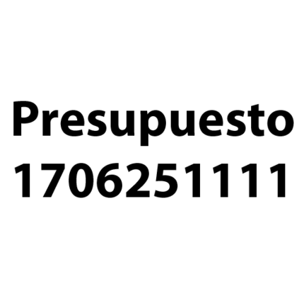 Presupuesto 0310231322