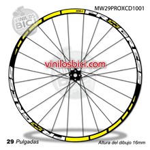 Pgrs XCD-1 29 Adhesivos