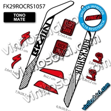 Rock Shox RS1 29" Vinilos