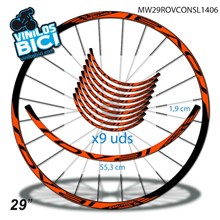 Roval Control 29" vinilos