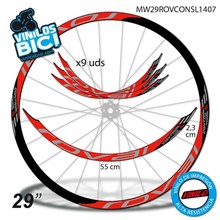 Roval Control 29" vinilos