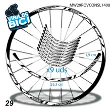 Roval Control 29" vinilos