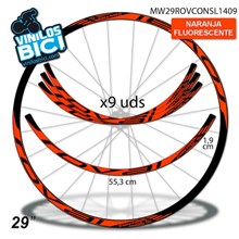 Roval Control 29" vinilos