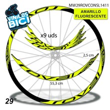 Roval Control 29" vinilos