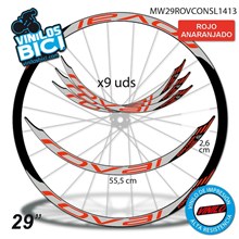 Roval Control 29" vinilos