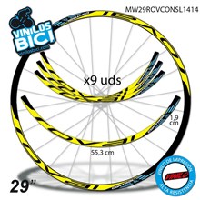 Roval Control 29" vinilos