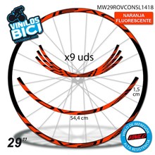 Roval Control 29" vinilos