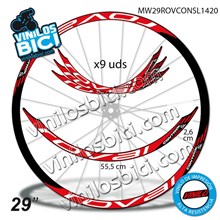 Roval Control 29" vinilos