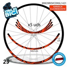Roval Control 29" vinilos