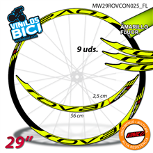 Roval Control 29" vinilos