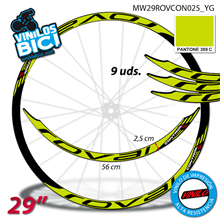 Roval Control 29" vinilos