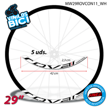 Roval Control 29" vinilos