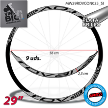 Roval Control 29" vinilos