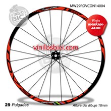Roval Control SL WC 2014 Adhesivos