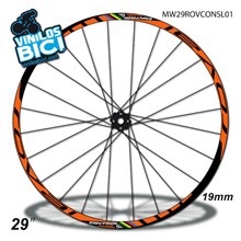 Roval Control SL 29" vinilos