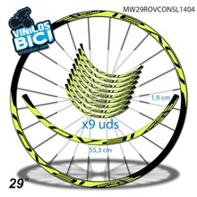 Roval Control 29" vinilos
