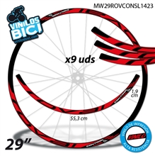 Roval Control SL 29" vinilos