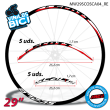 Scott Scale 29" Vinilos