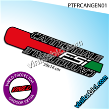 Cannondale FSI vinilo adhesivo protector